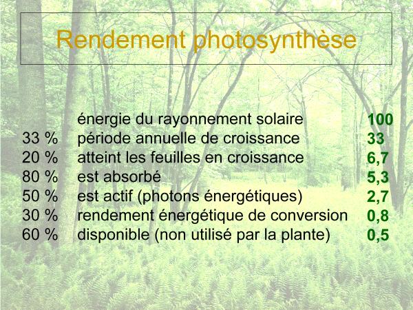 Rendement des diff&eacute;rentes &eacute;tapes de la photosynth&egrave;se